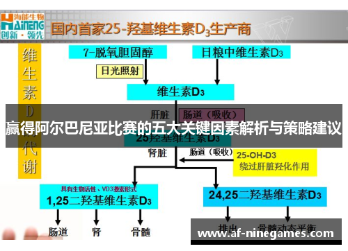 赢得阿尔巴尼亚比赛的五大关键因素解析与策略建议 赢得阿尔巴尼亚比赛的五大关键因素解析与策略建议