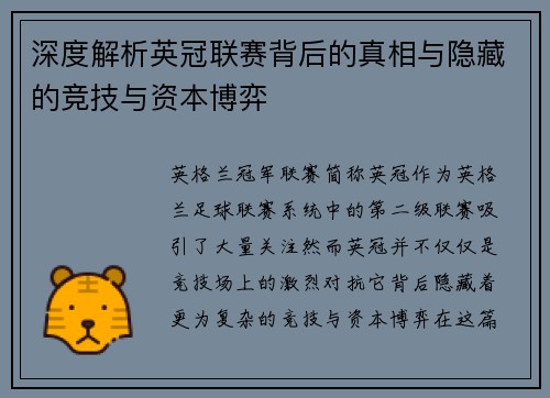深度解析英冠联赛背后的真相与隐藏的竞技与资本博弈 深度解析英冠联赛背后的真相与隐藏的竞技与资本博弈