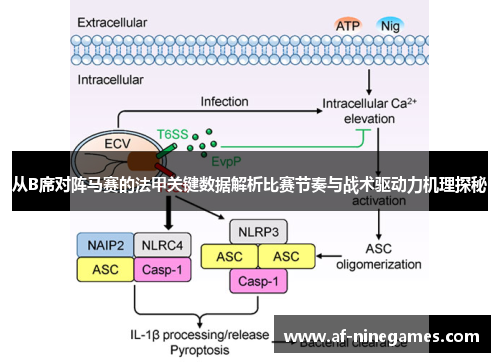 从B席对阵马赛的法甲关键数据解析比赛节奏与战术驱动力机理探秘