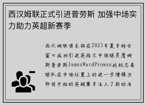 西汉姆联正式引进普劳斯 加强中场实力助力英超新赛季